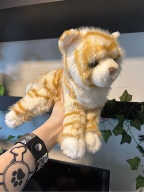Douglas orange tabby cat